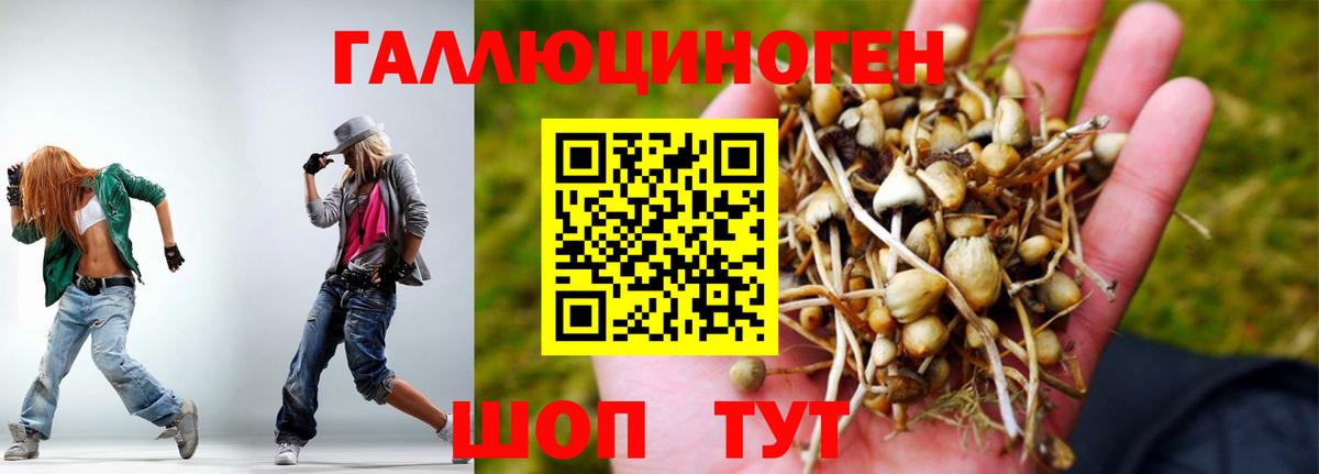 Псилоцибиновые грибы мицелий  Галлюциногенные грибы ЛСД  Вход с VPN  Рубцовск 